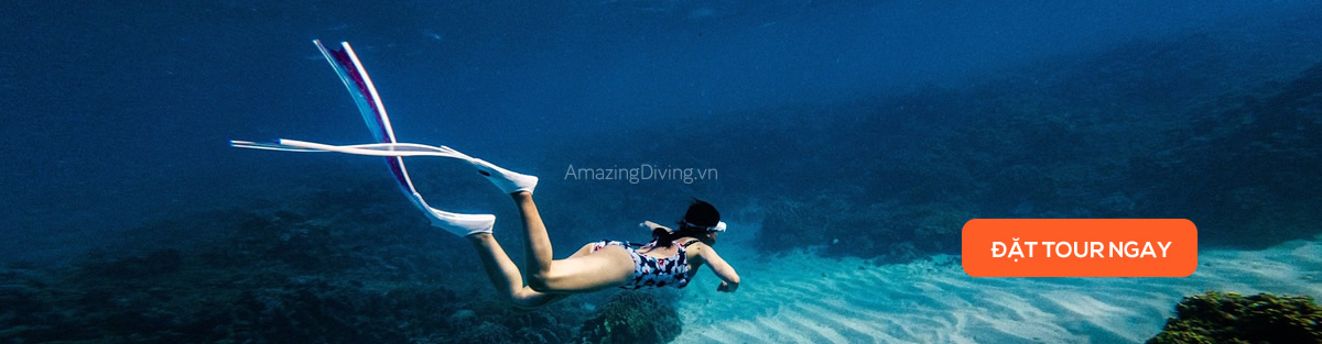 tour freediving