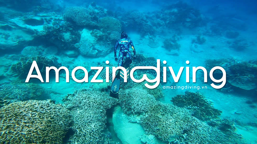freediving là gì