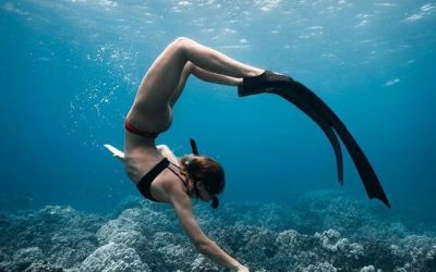 Tour Free Diving Lặn Bắt Hải Sản Nha Trang 2N1Đ