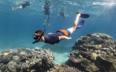 Nên đi tour đảo nào ở Nha Trang?